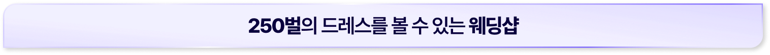 250벌의 드레스를 볼 수 있는 웨딩샵