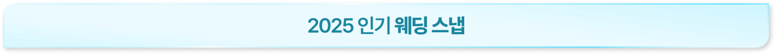 2025 인기 웨딩 스냅